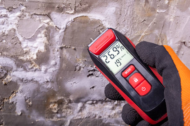 Best Residential Mold Remediation in Northfield, OH