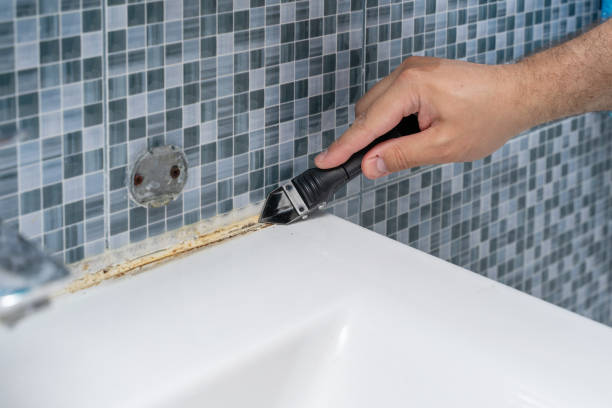 Best Black Mold Remediation in Northfield, OH